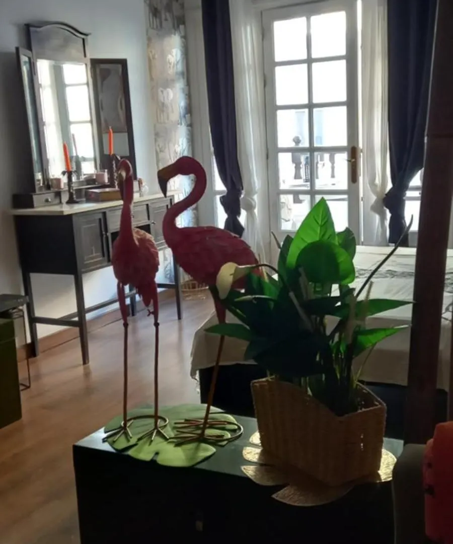 Marezia Apartment Corralejo